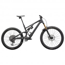 2024 Specialized S-Works Stumpjumper Evo Mountain Bike