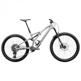 2024 Specialized Stumpjumper Ltd Mountain Bike