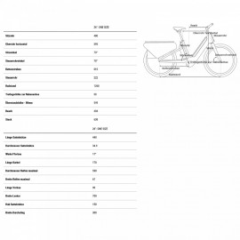 2025 Cube Longtail Sport Hybrid 725 - Electric Cargo Bike