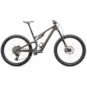 2025 Specialized Stumpjumper 15 EXPERT - Carbon Mountain Bike