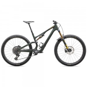 2025 Specialized Stumpjumper 15 Pro - Carbon Mountain Bike