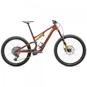 2025  Specialized Stumpjumper 15 - Öhlins Coil - Carbon Mountain Bike