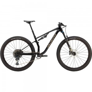 2025 Specialized Chisel Comp EVO Mountain Bike