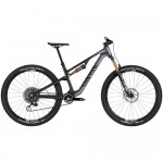 2025 Canyon Neuron CF LTD Mountain Bike